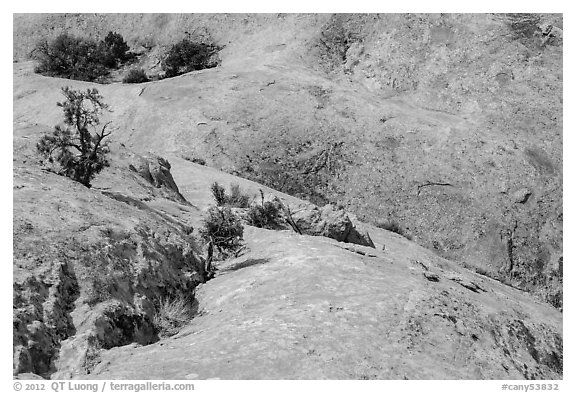 Smooth slickrock, Island in the Sky District. Canyonlands National Park (black and white)