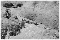 Smooth slickrock, Island in the Sky District. Canyonlands National Park, Utah, USA. (black and white)