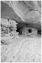 Aztec Butte granary, Island in the Sky District. Canyonlands National Park, Utah, USA. (black and white)