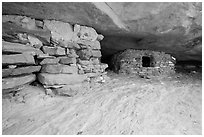 Ancient granary on Aztec Butte. Canyonlands National Park, Utah, USA. (black and white)