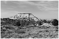 Aztec Butte. Canyonlands National Park, Utah, USA. (black and white)