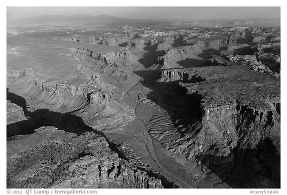 Aerial view of Taylor Canyon. Canyonlands National Park, Utah, USA.