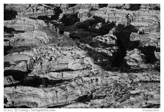 Aerial view of Chocolate Drops. Canyonlands National Park (black and white)