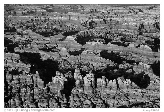 Aerial view of pinnacles, Needles District. Canyonlands National Park, Utah, USA.