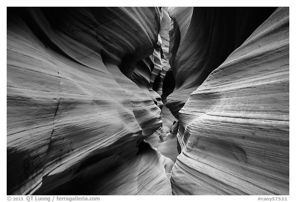High Spur slot canyon, Orange Cliffs Unit, Glen Canyon National Recreation Area, Utah. USA (black and white)
