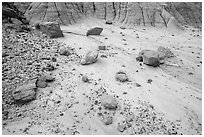 Bentonite and petrified wood, Orange Cliffs Unit, Glen Canyon National Recreation Area, Utah. USA ( black and white)