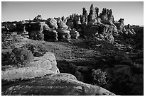 Dollhouse spires at sunrise. Canyonlands National Park, Utah, USA. (black and white)