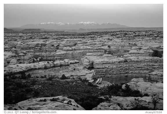 Maze canyons and snowy mountains at dusk. Canyonlands National Park, Utah, USA.