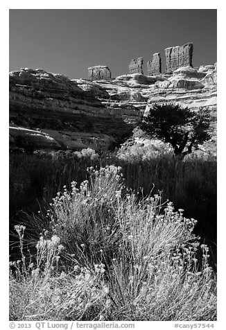 Chocolate drops seen from Maze canyons. Canyonlands National Park, Utah, USA.