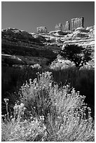 Chocolate drops seen from Maze canyons. Canyonlands National Park, Utah, USA. (black and white)