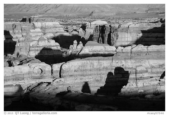 Maze canyons at sunset. Canyonlands National Park, Utah, USA.