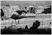 Maze canyons at sunset. Canyonlands National Park, Utah, USA. (black and white)