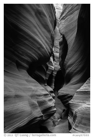 Narrows, High Spur slot canyon, Orange Cliffs Unit, Glen Canyon National Recreation Area, Utah. USA (black and white)