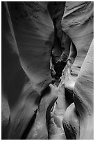 Curved walls, High Spur slot canyon, Orange Cliffs Unit, Glen Canyon National Recreation Area, Utah. USA ( black and white)