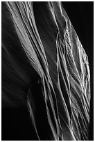 Sandstone carved by water, High Spur slot canyon, Orange Cliffs Unit, Glen Canyon National Recreation Area, Utah. USA (black and white)