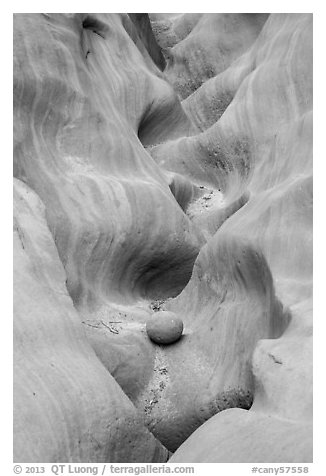 Sandstone waves and stone, High Spur slot canyon, Orange Cliffs Unit, Glen Canyon National Recreation Area, Utah. USA (black and white)