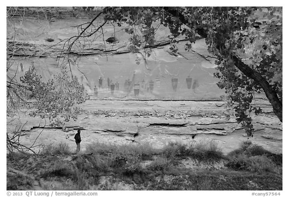 Park visitor looking, the Great Gallery,  Horseshoe Canyon. Canyonlands National Park, Utah, USA.