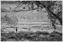 Park visitor looking, the Great Gallery,  Horseshoe Canyon. Canyonlands National Park, Utah, USA. (black and white)