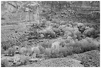 Horseshoe Canyon in autumn. Canyonlands National Park, Utah, USA. (black and white)