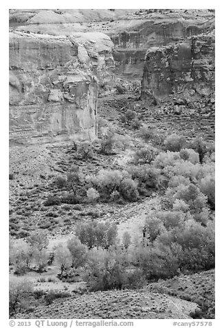 Horseshoe Canyon from the rim in autumn. Canyonlands National Park, Utah, USA.