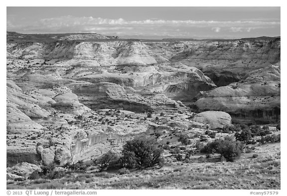 Horseshoe Canyon rim. Canyonlands National Park, Utah, USA.