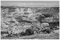 Horseshoe Canyon rim. Canyonlands National Park, Utah, USA. (black and white)