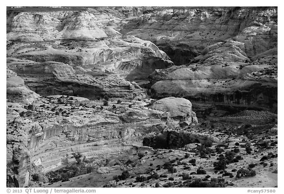 Horseshoe Canyon rims. Canyonlands National Park, Utah, USA.