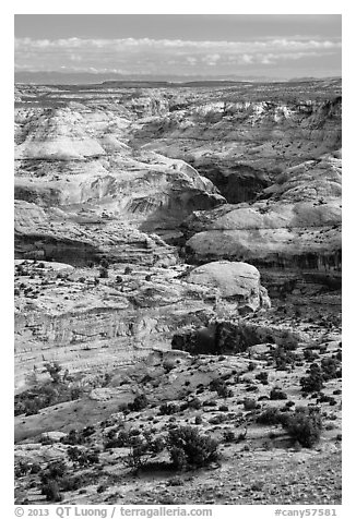 Horseshoe Canyon seen from above. Canyonlands National Park (black and white)