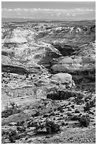 Horseshoe Canyon seen from above. Canyonlands National Park, Utah, USA. (black and white)