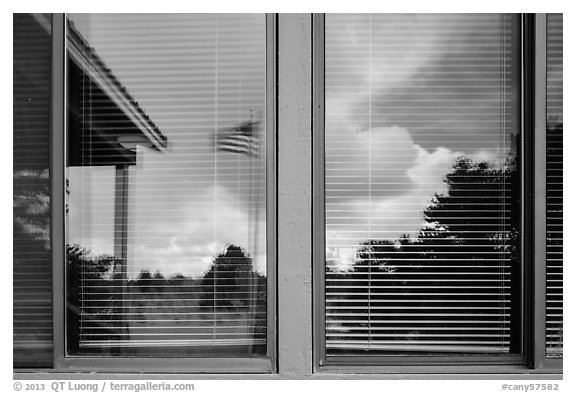 Desert trees, Hans Flat ranger station window reflexion. Canyonlands National Park (black and white)