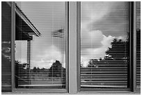 Desert trees, Hans Flat ranger station window reflexion. Canyonlands National Park ( black and white)