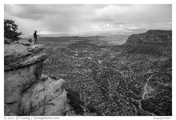 Park visitor looking, Wingate Cliffs at Flint Trail overlook. Canyonlands National Park, Utah, USA.