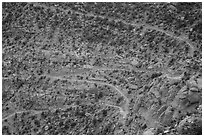 Steep switchbacks of the Flint Trail, Orange Cliffs Unit, Glen Canyon National Recreation Area, Utah. USA ( black and white)