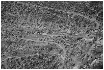 Steep switchbacks of the Flint Trail, Orange Cliffs Unit, Glen Canyon National Recreation Area, Utah. USA (black and white)