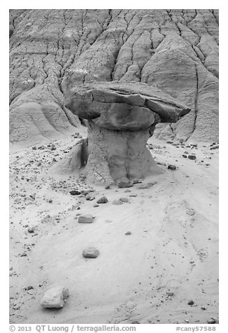 Mushroom rock and bentonite badlands, Orange Cliffs Unit, Glen Canyon National Recreation Area, Utah. USA