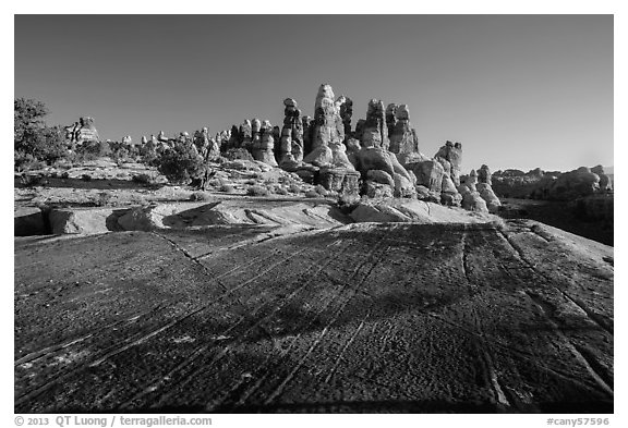 Rock slab and Dollhouse spires. Canyonlands National Park, Utah, USA.