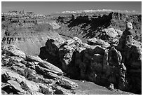 Surprise Valley, Colorado River, and snowy mountains. Canyonlands National Park, Utah, USA. (black and white)