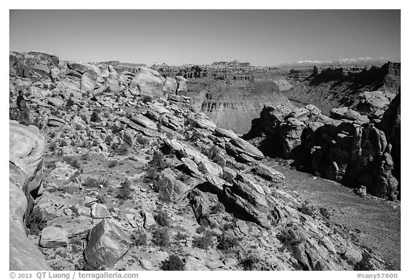 Park visitor looking, Surprise Valley overlook. Canyonlands National Park, Utah, USA.