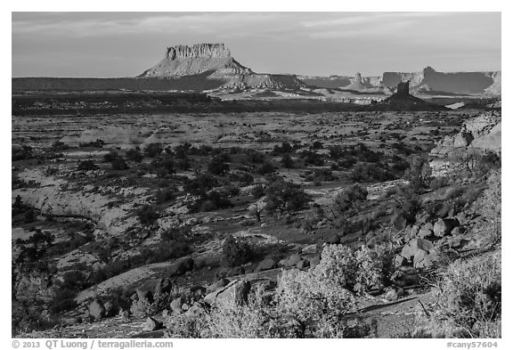 Maze and Elaterite Butte at sunset. Canyonlands National Park, Utah, USA.