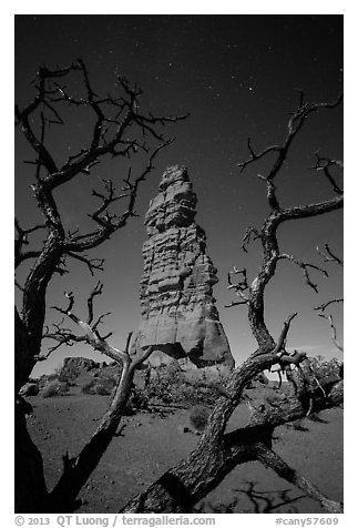 Standing Rock at night seen through branches. Canyonlands National Park, Utah, USA.