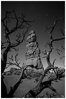 Standing Rock at night seen through branches. Canyonlands National Park ( black and white)