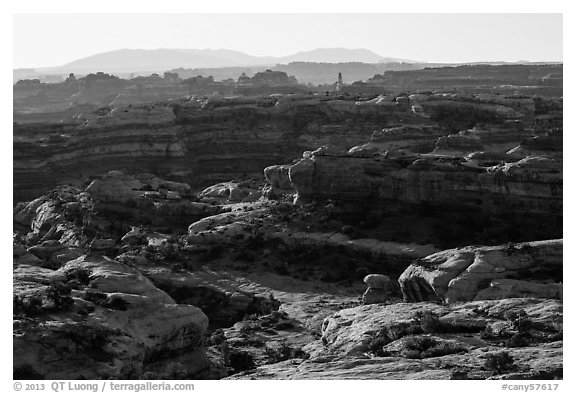 Jasper Cayon, early morning, Maze District. Canyonlands National Park, Utah, USA.