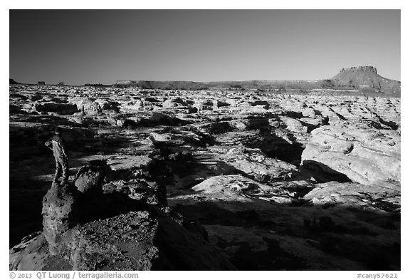 Park visitor looking, Maze canyons. Canyonlands National Park (black and white)