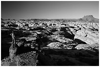 Park visitor looking, Maze canyons. Canyonlands National Park, Utah, USA. (black and white)