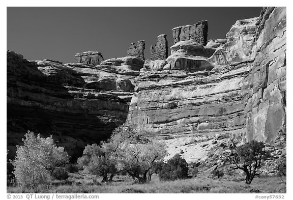 Cottonwoods, canyon walls, and Chocolate Drops. Canyonlands National Park, Utah, USA.