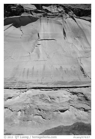 Looking up canyon wall with Harvest Scene pictographs. Canyonlands National Park (black and white)