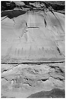 Looking up canyon wall with Harvest Scene pictographs. Canyonlands National Park, Utah, USA. (black and white)