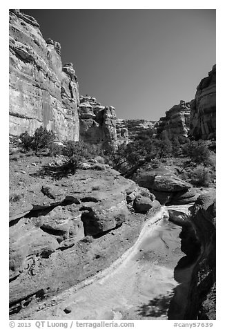 Canyon bottom, the Maze. Canyonlands National Park (black and white)