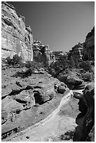 Canyon bottom, the Maze. Canyonlands National Park, Utah, USA. (black and white)