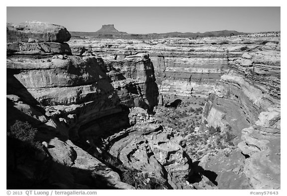 Curved Cedar Mesa sandstone canyons from the rim, Maze District. Canyonlands National Park (black and white)